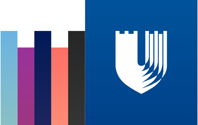 Duke Shield with multicolor bars