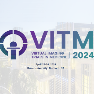 VITM 2024 Summit Logo